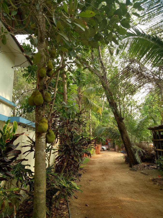 Appartement Agape Marari à Mararikulam Extérieur photo